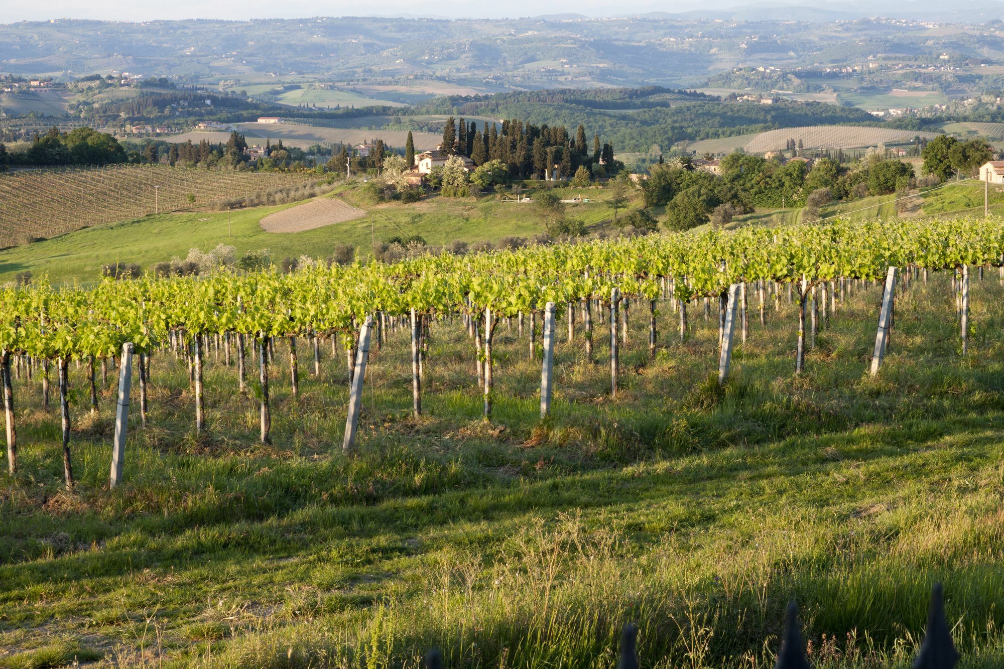 Villa Ducci San Gimignano Kültér fotó