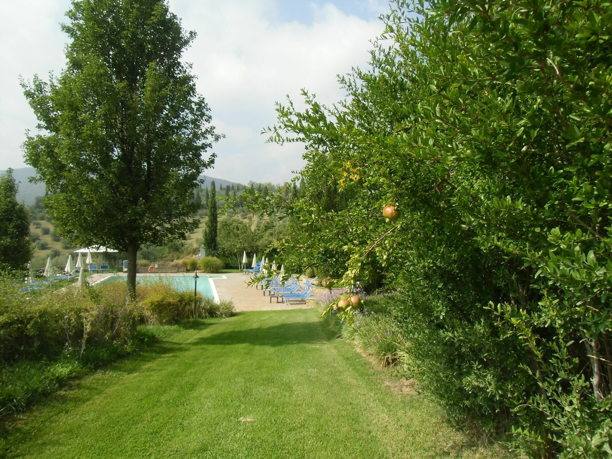 Villa Ducci San Gimignano Kültér fotó