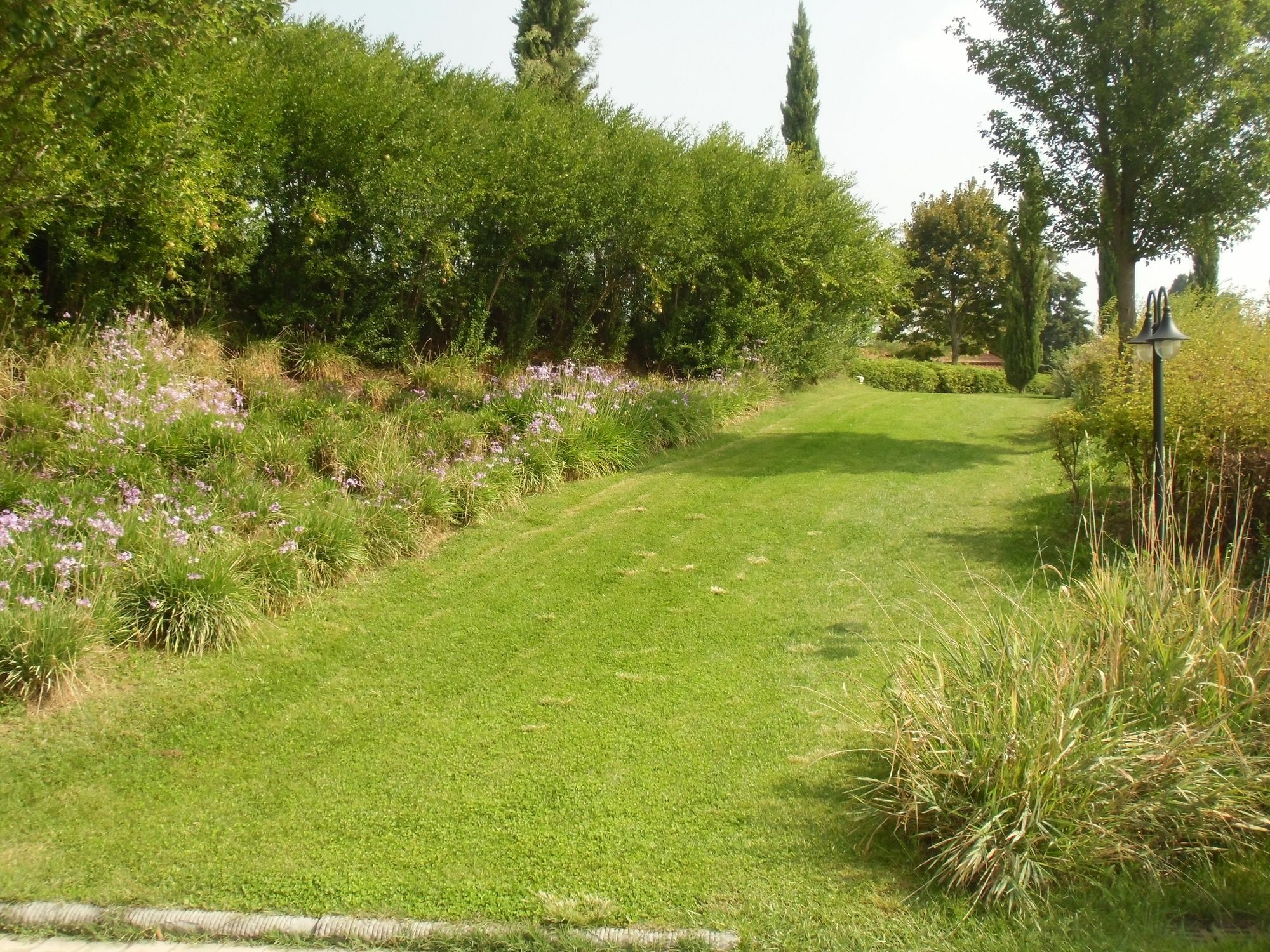 Villa Ducci San Gimignano Kültér fotó