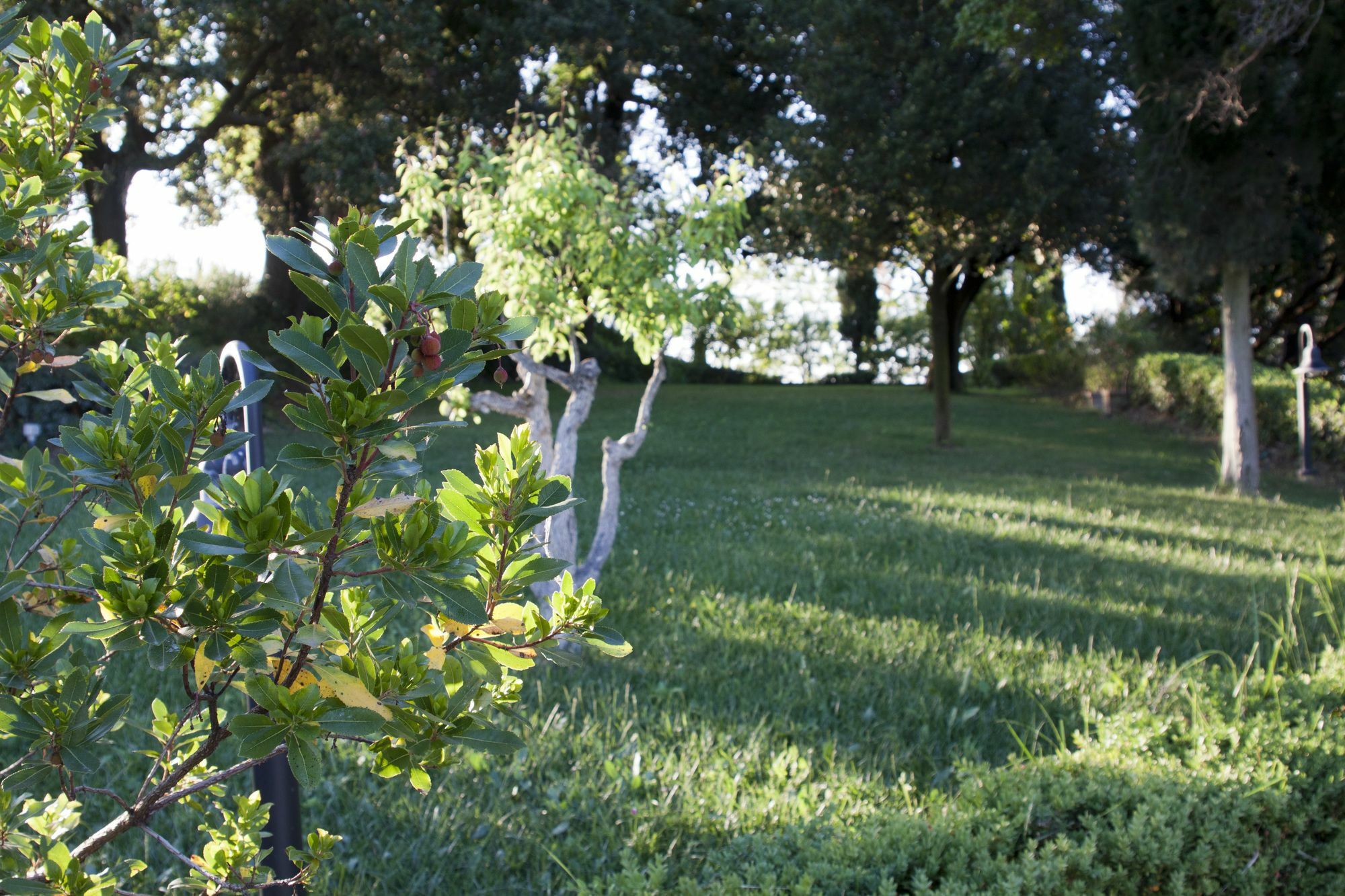 Villa Ducci San Gimignano Kültér fotó